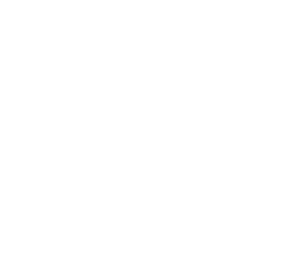 Logo Susanne Wismer Flowers